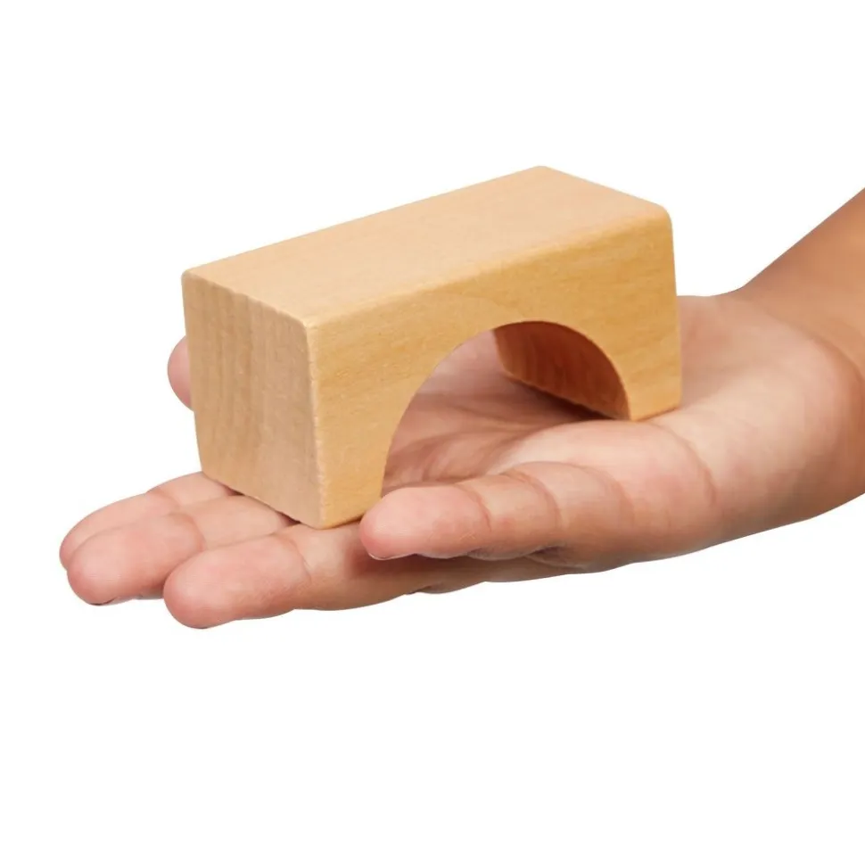 Excellerations® Wooden Building Blocks - Set of 100