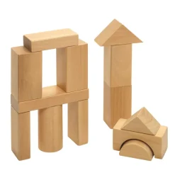 Excellerations® Wooden Building Blocks - Set of 100