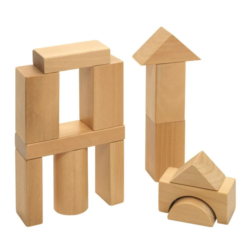 Excellerations® Wooden Building Blocks - Set of 100