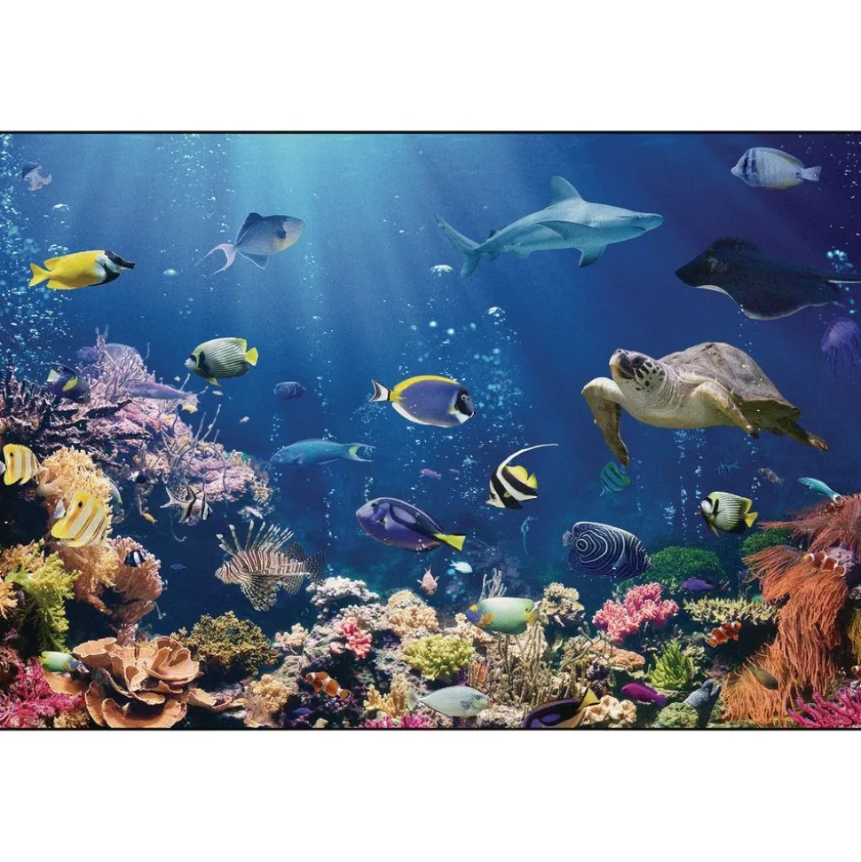 Explore the Ocean 6' x 9' Rectangle Pixel Perfect Carpet