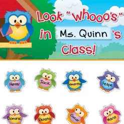 EZ Stick™ Owl Friends Door Sign And Student Name Pieces
