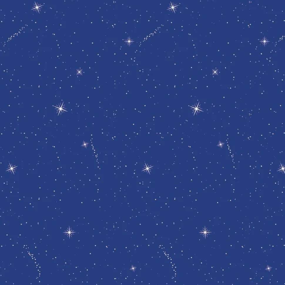 Fadeless® Design Paper Rolls - Night Sky