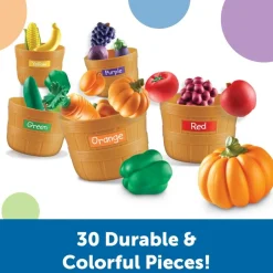 Farmer's Market Color Sorting Set