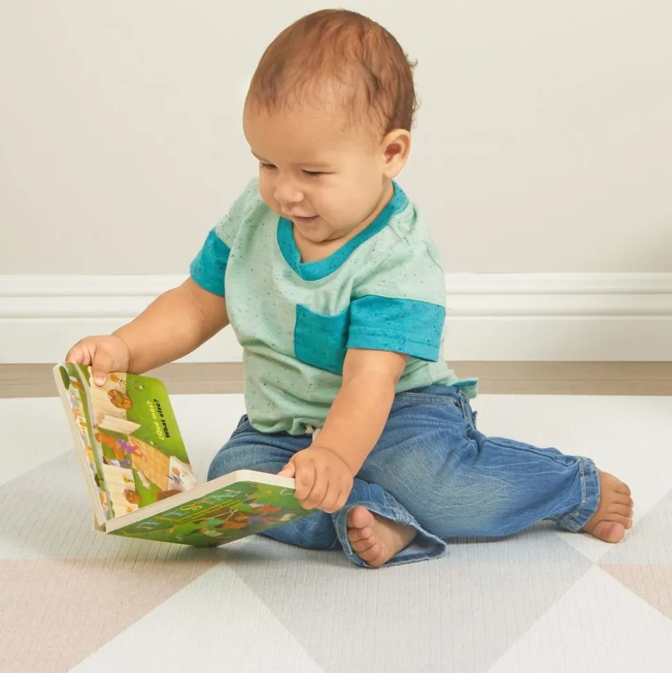 Fiesta! Board Book