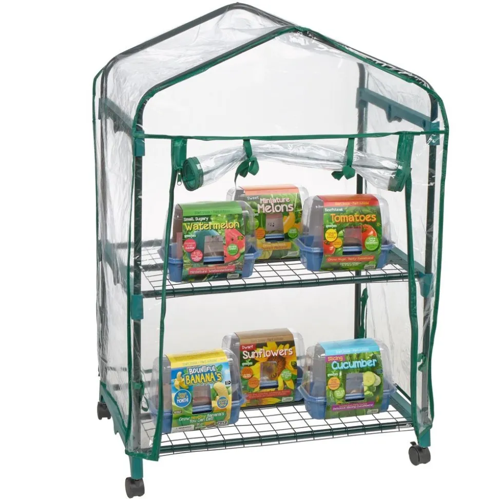 Garden Grow Kit - Greenhouse + 6 plants