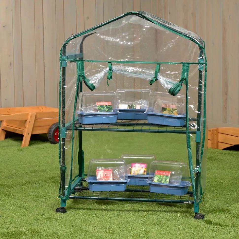 Garden Grow Kit - Greenhouse + 6 plants