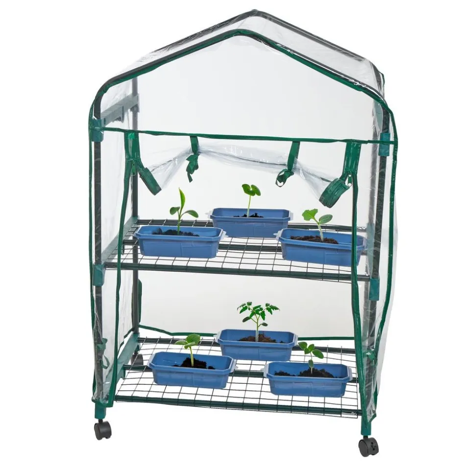 Garden Grow Kit - Greenhouse + 6 plants