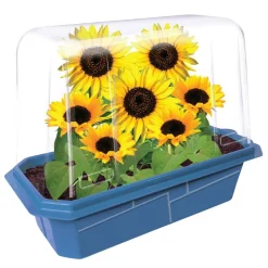 Garden Grow Kit - Greenhouse + 6 plants