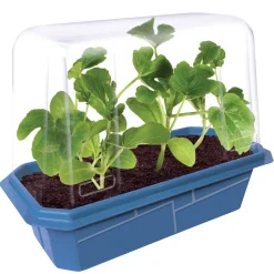 Garden Grow Kit - Greenhouse + 6 plants