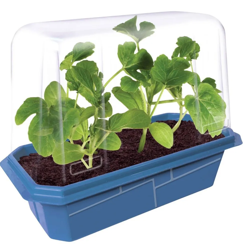 Garden Grow Kit - Greenhouse + 6 plants