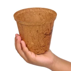 Growing Fruits, Vegetables, & Herbs - Three 18 Student kits
