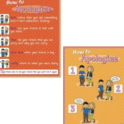 How To - Social/Emotional Poster Set