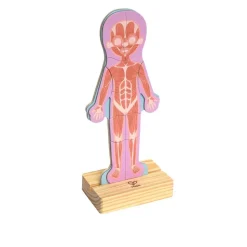 Human Body Magnetic Puzzle - 63pcs