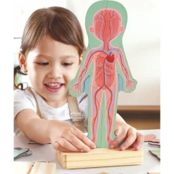 Human Body Magnetic Puzzle - 63pcs