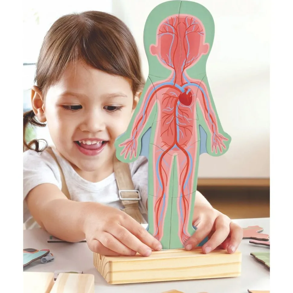 Human Body Magnetic Puzzle - 63pcs