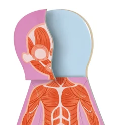 Human Body Magnetic Puzzle - 63pcs