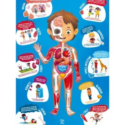 Human Body Puzzle - 60pcs in carry case
