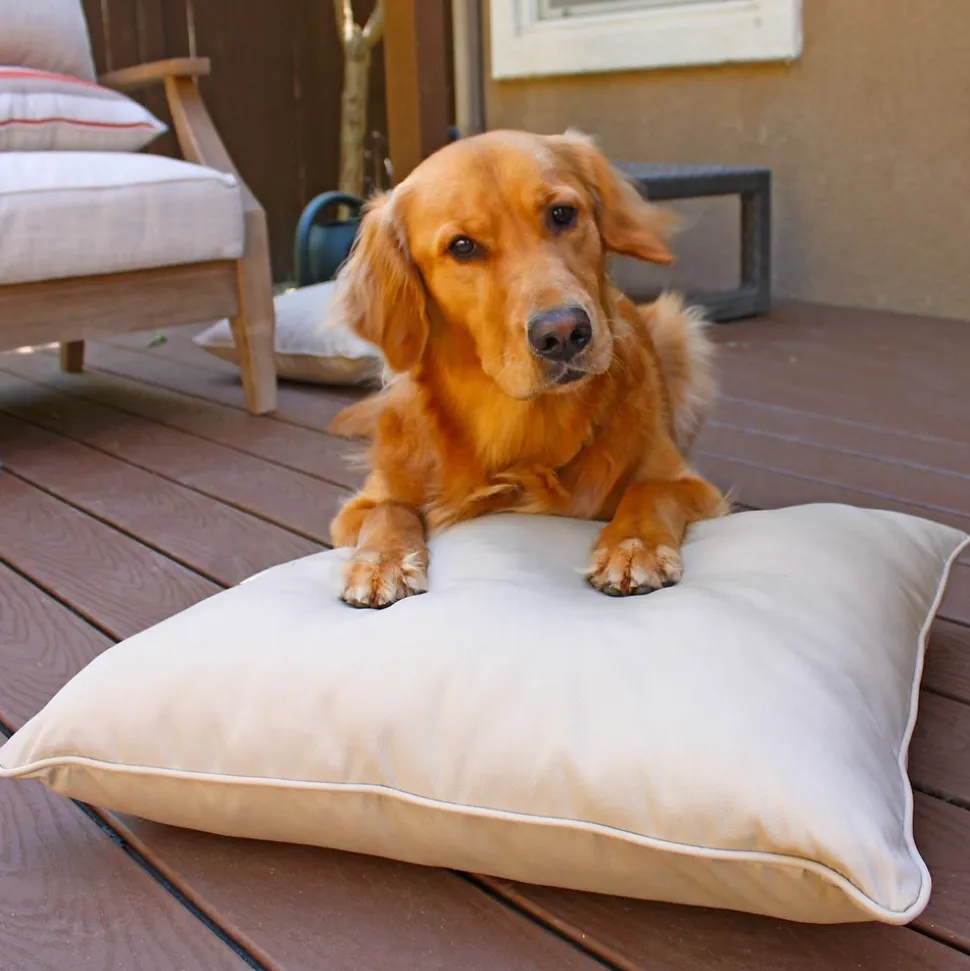 24" Indoor/Outdoor Pillows, 2 Pack - Beige Sand