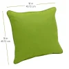 18" Indoor/Outdoor Pillows, 2 Pack - Lime Green