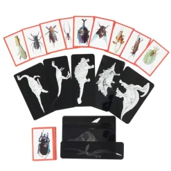 Insect & Dinosaur X-Rays - 96 cards