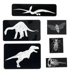 Insect & Dinosaur X-Rays - 96 cards