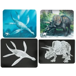 Insect & Dinosaur X-Rays - 96 cards