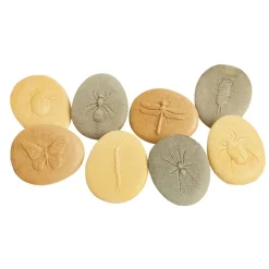Investigating Stones Set - 24pcs