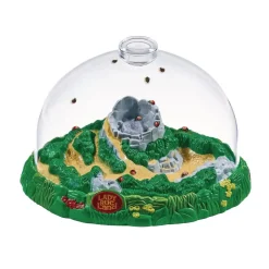 Ladybug Land