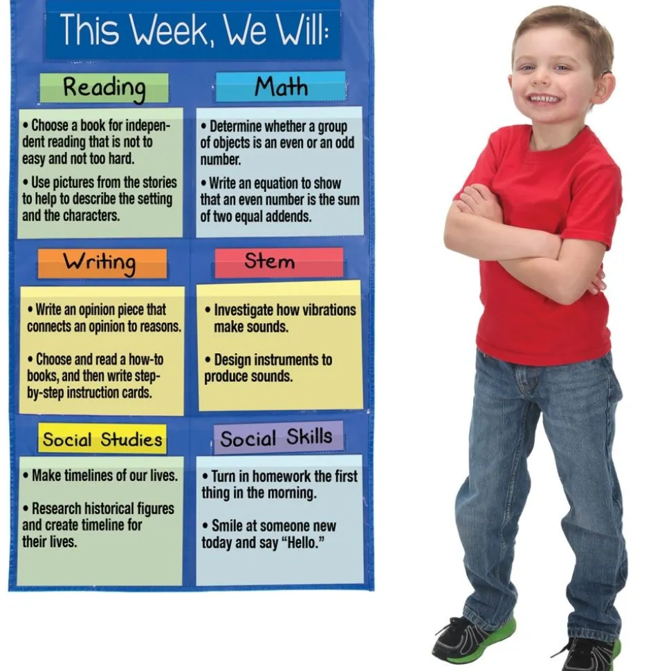 Learning Goals Pocket Chart™ - 1 pocket chart, 14 cards