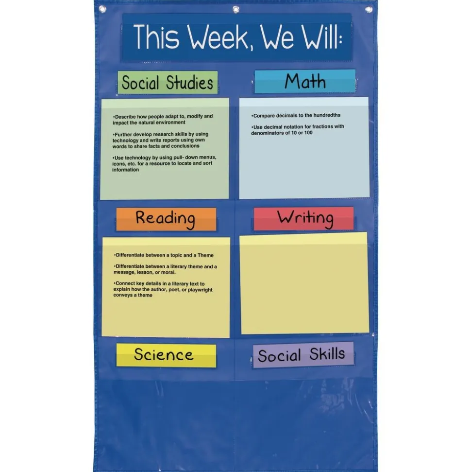 Learning Goals Pocket Chart™ - 1 pocket chart, 14 cards
