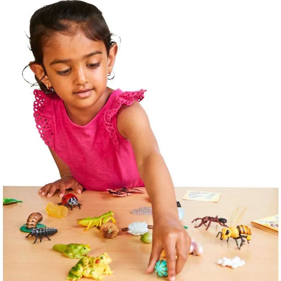 Life Cycle Figurines - 24 Pieces