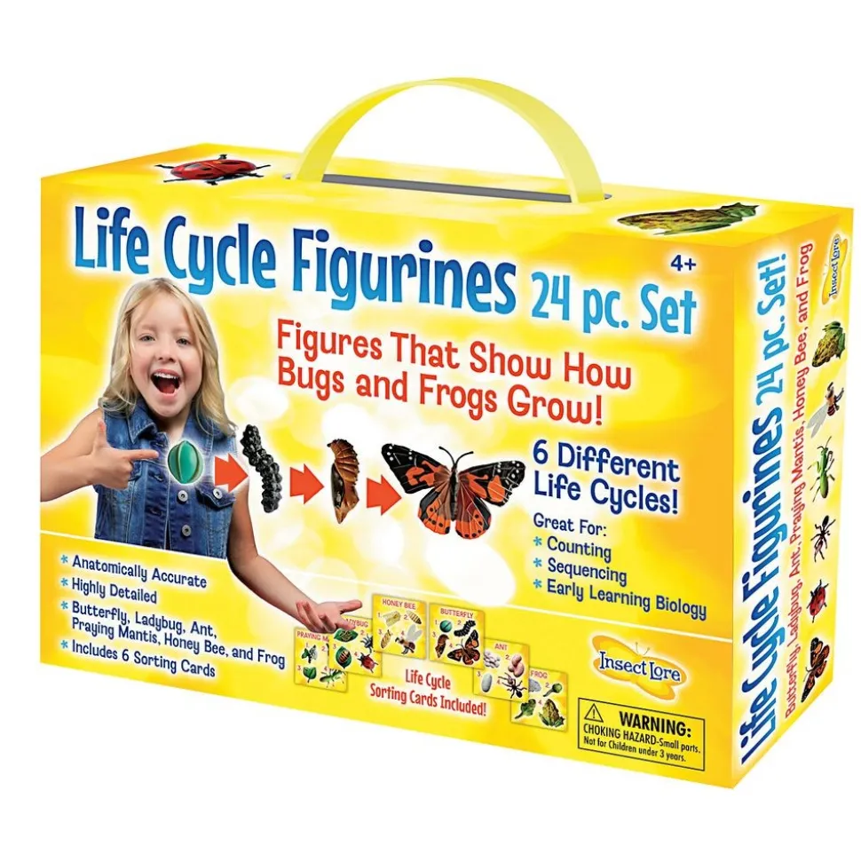 Life Cycle Figurines - 24 Pieces