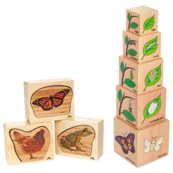 Life Cycles Blocks and Puzzles