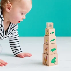 Lifecycle Wooden Blocks