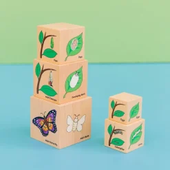 Lifecycle Wooden Blocks