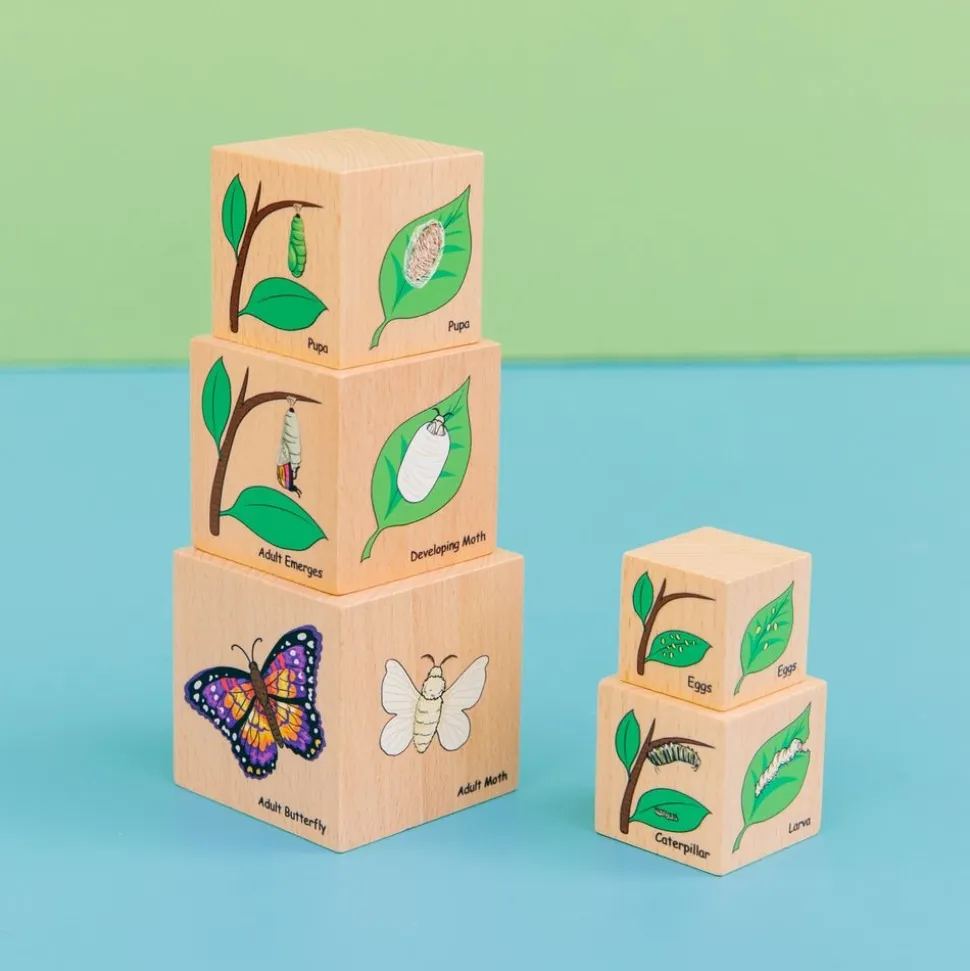 Lifecycle Wooden Blocks