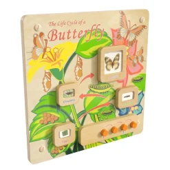 Life Cycle Wooden STEAM Board