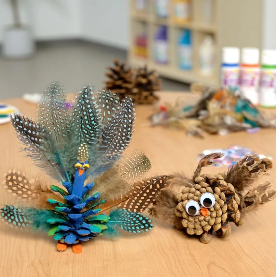Medium Craft Pinecones - 12 Pieces