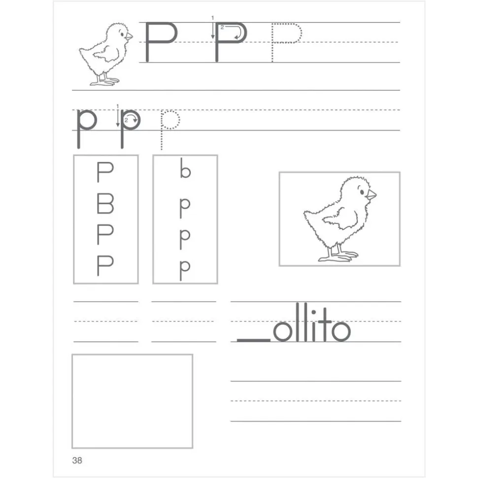 Mi Libro de ABECÉ (My Spanish ABC Book) - 12 Journals