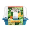 Miniature Melons