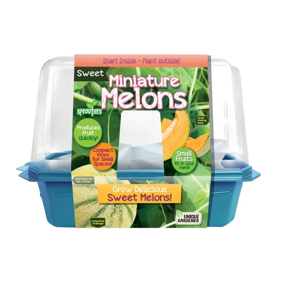 Miniature Melons