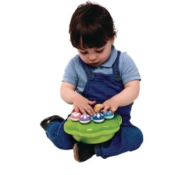 Mushroom Garden Interactive Educational Toy