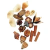 Natural Specimens - 12 Types