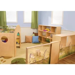Nature View Acrylic Back Cabinet - 36
