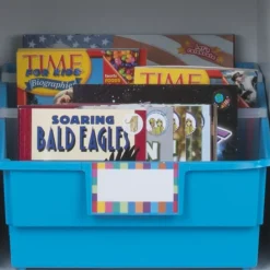Picture Book Library Bins With Dividers - 12-Pack Rainbow
