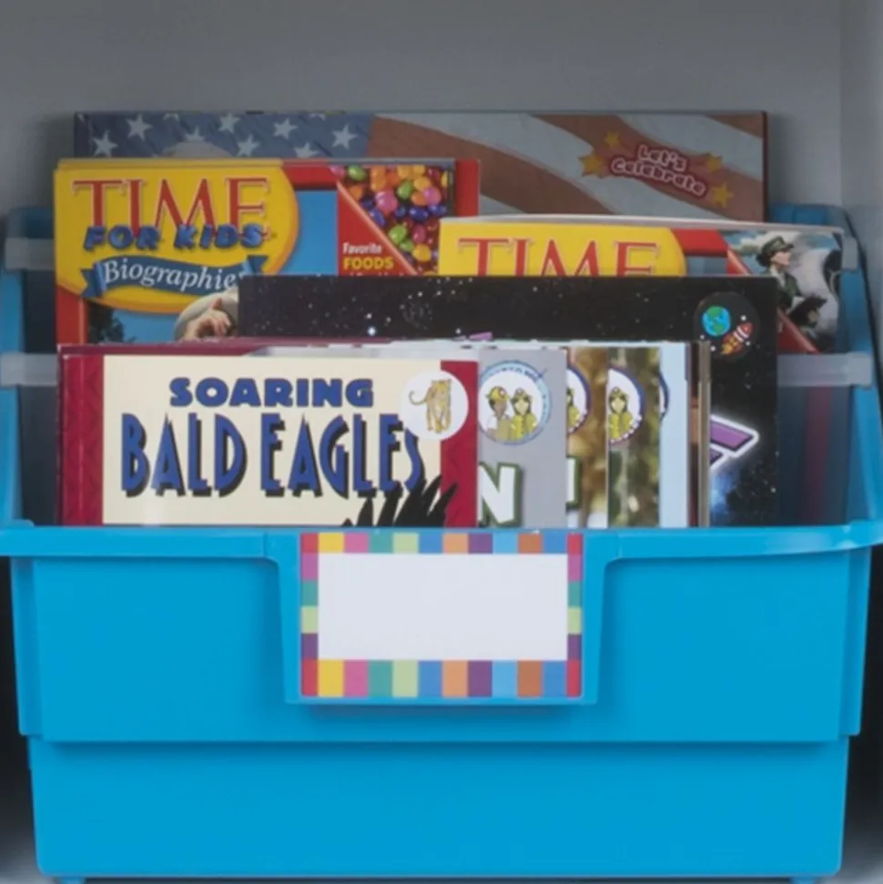 Picture Book Library Bins With Dividers - 12-Pack Rainbow