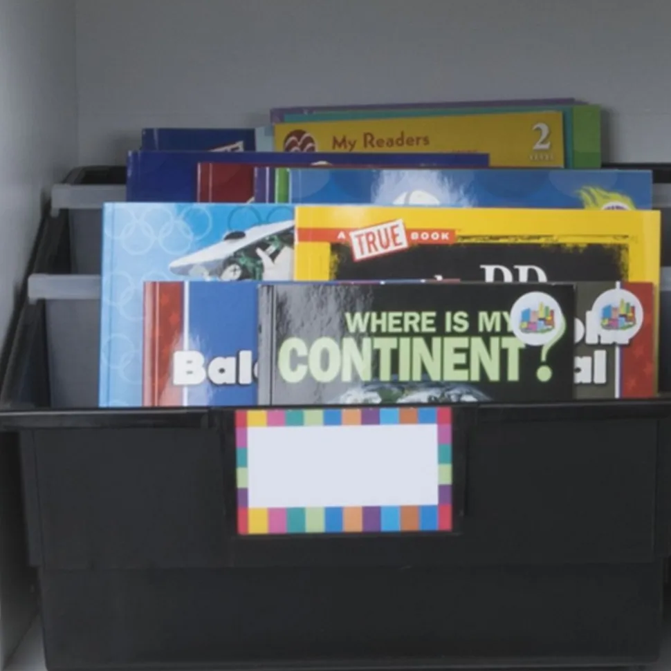 Picture Book Library Bins With Dividers - 12-Pack Rainbow