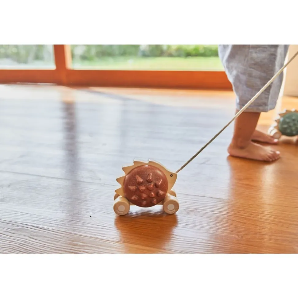 Pull Along Hedgehog