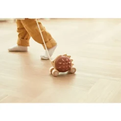 Pull Along Hedgehog