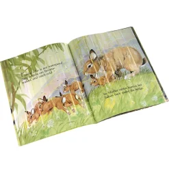 Rabbits and Raindrops Paperback Book